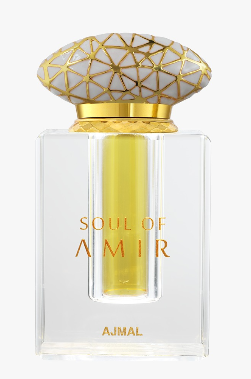 Soul of Amir by Ajmal
